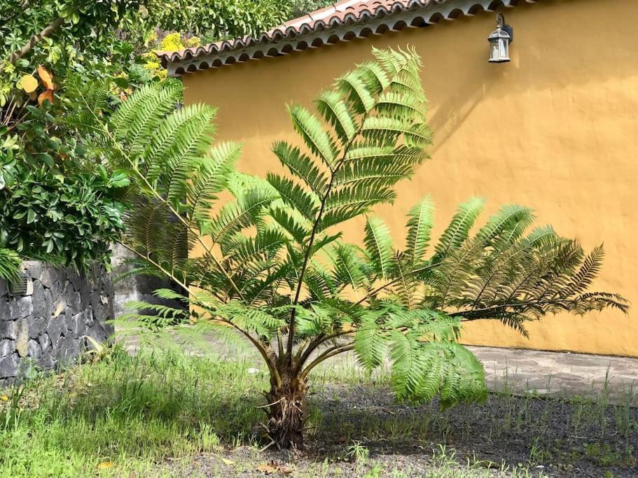 Rustic House La Montana Villa Brena Baja Luaran gambar